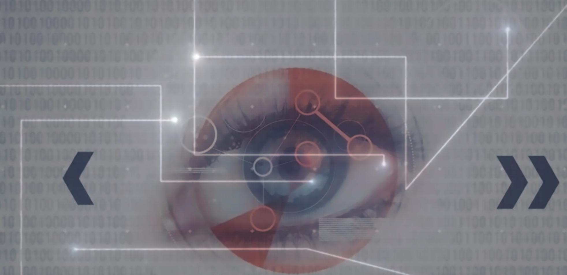 Membro del team phorexandria durante una sessione di mentorship